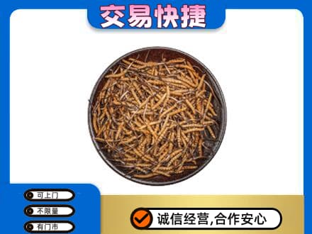 广州市南沙高价回收散虫草